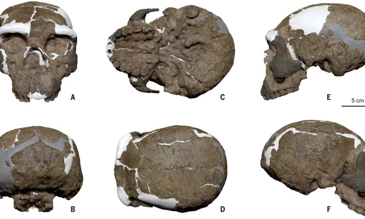 चीनमा गरिएको एउटा यस्तो खोजः जसले बदल्यो मानवशास्त्रको इतिहास