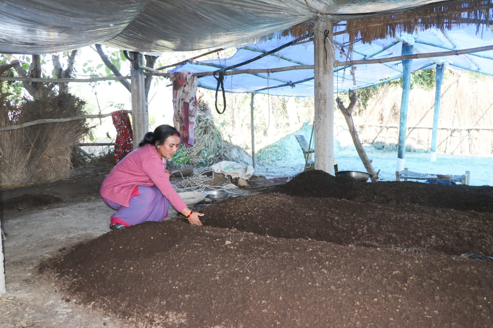 घरमै गड्यौला मल उत्पादन गर्दै राप्तीका उपाध्यक्ष चौधरी