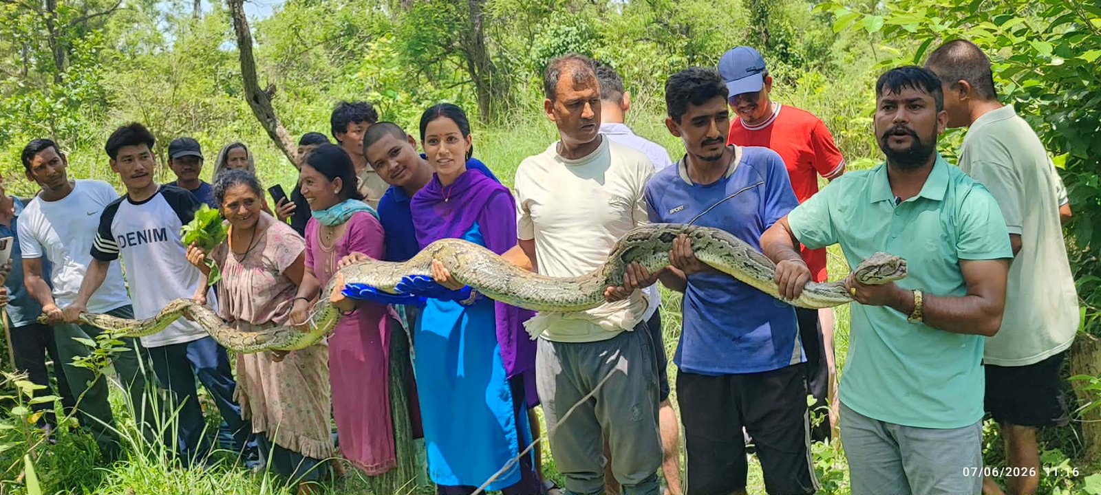 देउखुरीमा एक वर्षमा ४४७ वन्यजन्तुको उद्धार, २ सय ७० वटा कोब्रा